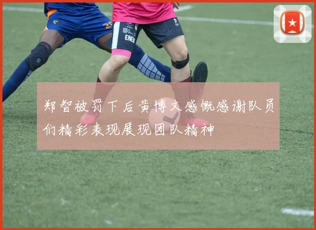 郑智被罚下后黄博文感慨感谢队员们精彩表现展现团队精神