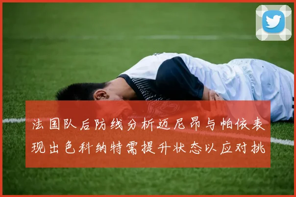 法国队后防线分析迈尼昂与帕依表现出色科纳特需提升状态以应对挑战